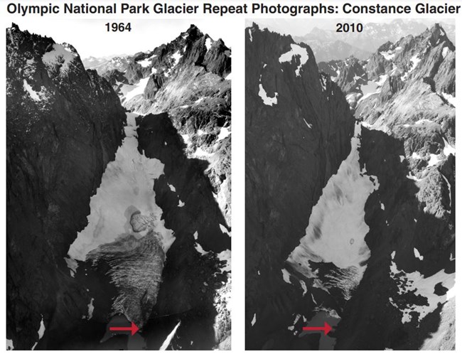 Two photos of the same glacier, labeled 1964 and 2010, show slight retreat at the foot of the glacier where it feeds a lake.