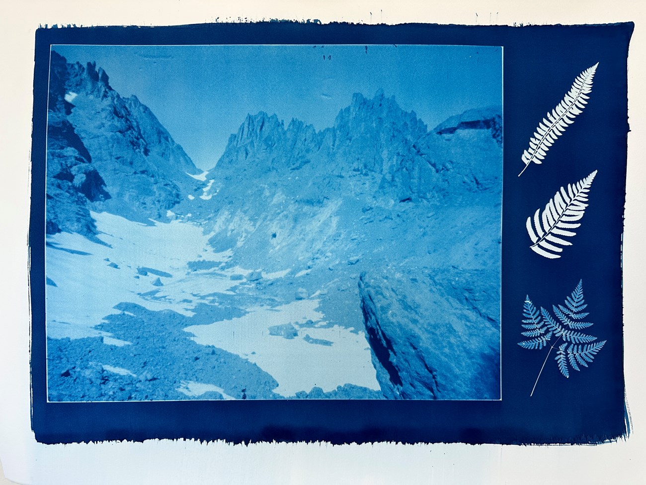 A photo in shades of blue of the scant remains of a mountain glacier near a jagged ridge. Three different fern leaves in silhouette next to the photo.