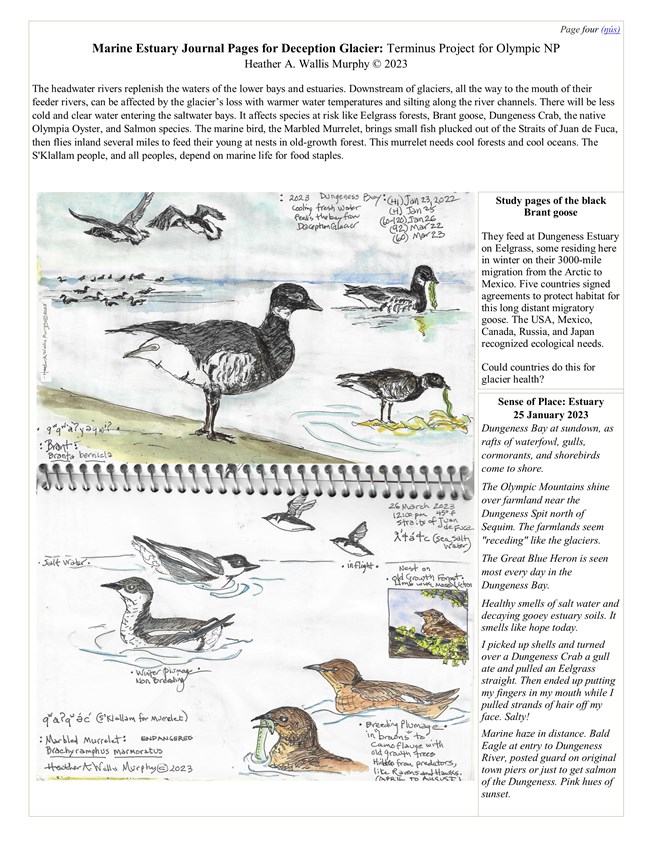 Text and an image of a wirebound journal with watercolor paintings of birds. Full alt text in dropdown element below.