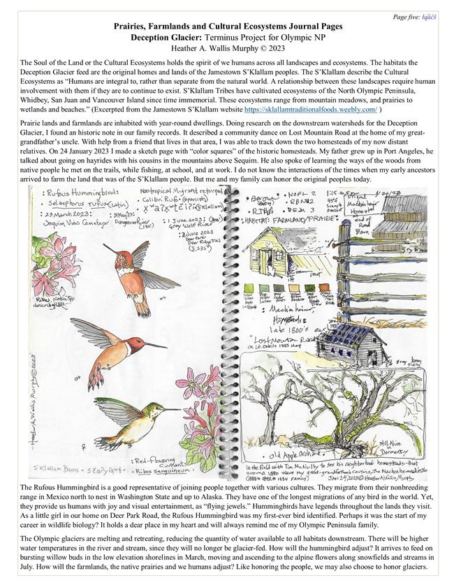 Text and image of a wirebound notebook with notes and watercolor paintings. Full alt text in dropdown element below.