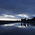 The Coast
