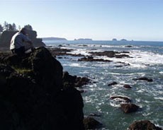 View along the Olympic Wilderness Coast