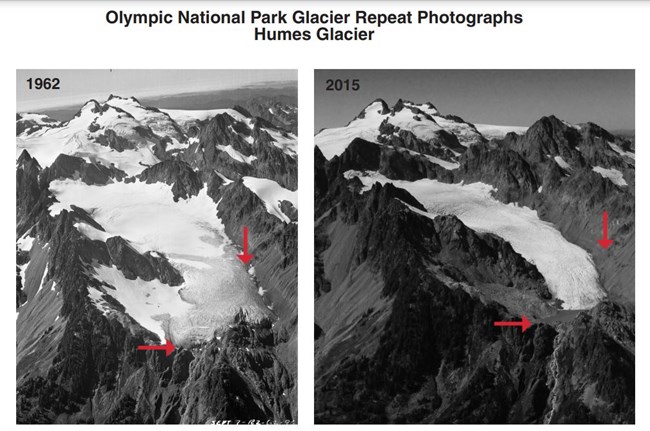 Repeat photos of the same glacier labeled 1962 and 2015. Arrows indicate significant retreat of glacial ice.