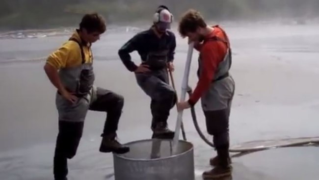 TRT Garnett Coy Razor Clam Monitoring