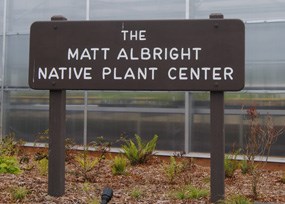 A wooden sign painted dark brown with white lettering that reads "THE MATT ALBRIGHT NATIVE PLANT CENTER"