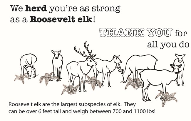 Image of elk thank you card coloring page