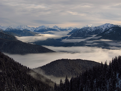 Hurricane Ridge