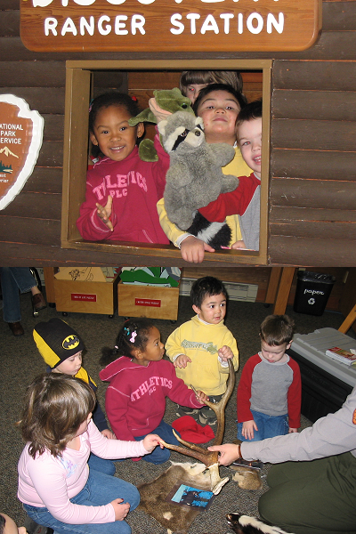 A two-photo collage of children in Olympic National Park's Discovery Room. In the top photo, children play with animal puppets. In the bottom photo, children hold elk antlers while listening to a Park Ranger.