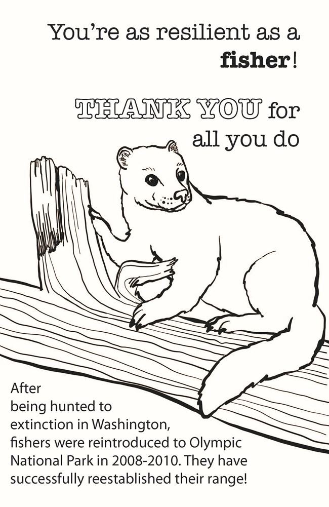Image of fisher coloring page thank you card