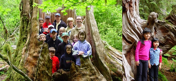 A collage of two pictures. The right picture shows two young children standing in front of a downed log. The left picture shows a group of people, mostly children, standing inside a hollowed tree stump.