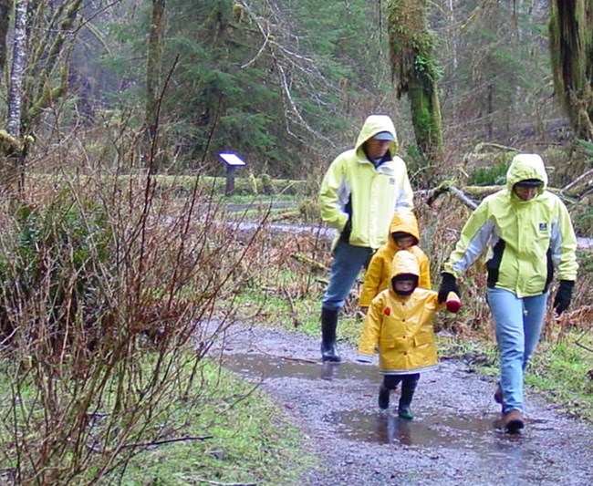 raincoats