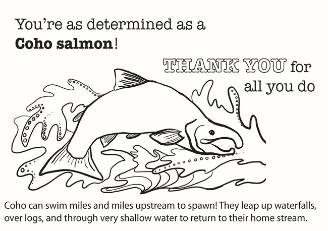 Image of salmon coloring page thank you card