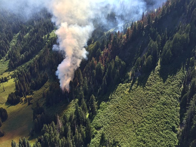 Cox Valley Fire, Olympic NP, Aug 2016
