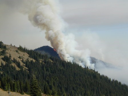The Griff Fire 2003