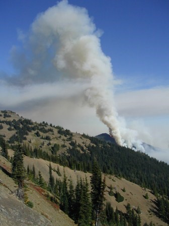 The 2003 Griff Fire