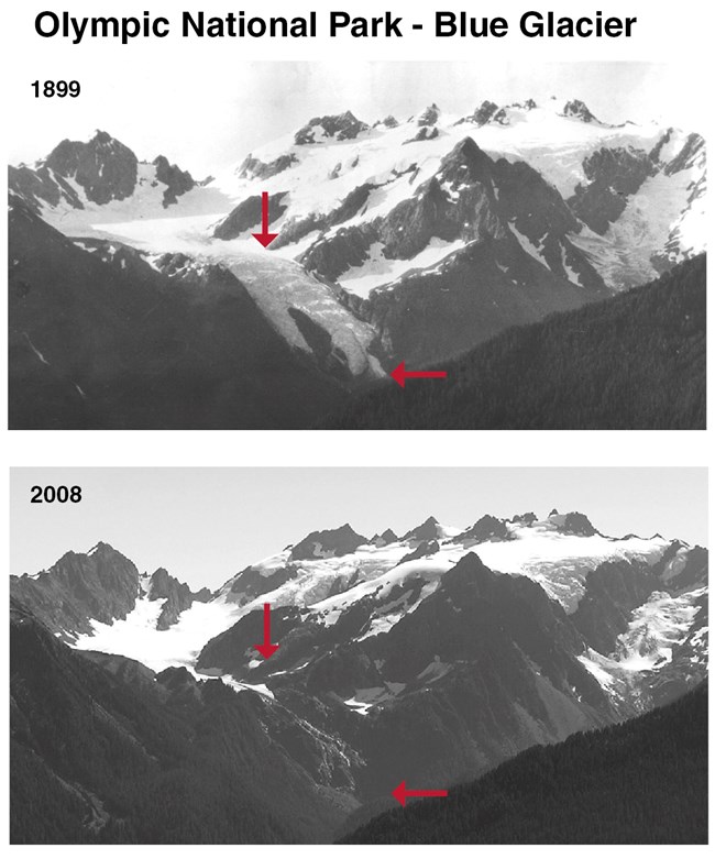 Blue Glacier 1899-2008 pair