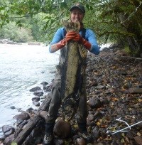 A fisheries technician holds a spawned (dead) Chinook by the tail to illustrate the size of the fish. The fish is almost the length of the technician.