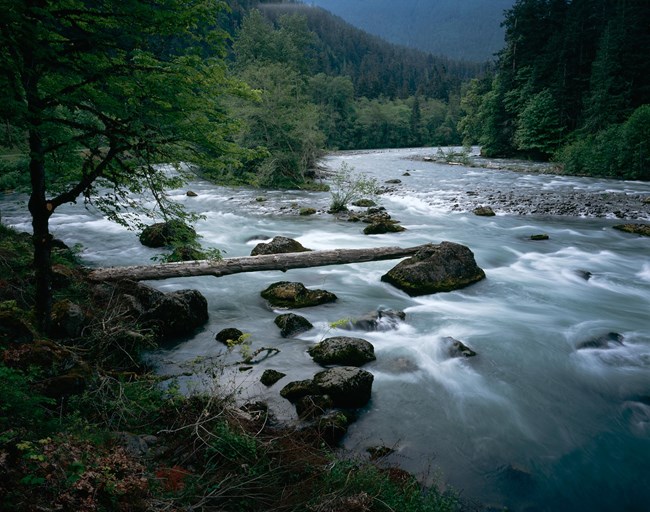 Elwha River