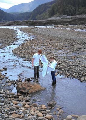 Students participating in the Summer Elwha Field Course collect macroinvertebrates in the Elwha River.