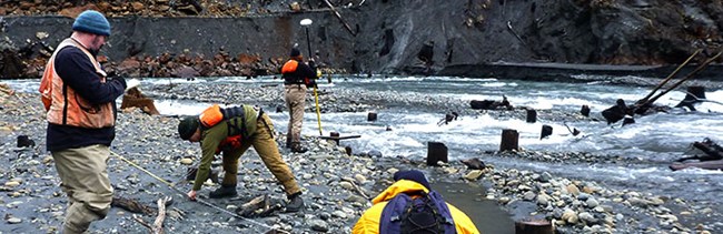 Four geomorphologists study sediment in the Elwha River. Four geomorphologists study sediment in the Elwha River.