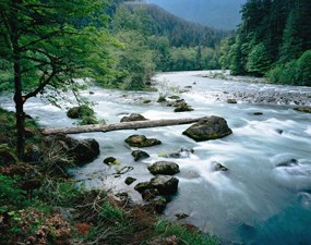 The Elwha River