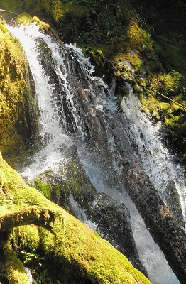 A small waterfall cascades and splashes over moss covered rocks and logs