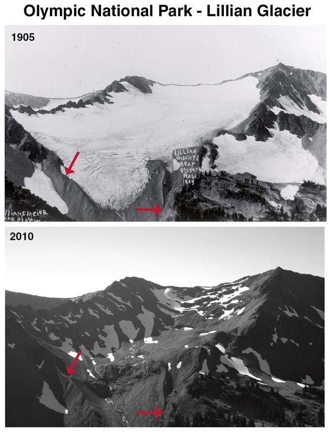 Lillian Glacier 1905-2010 pair