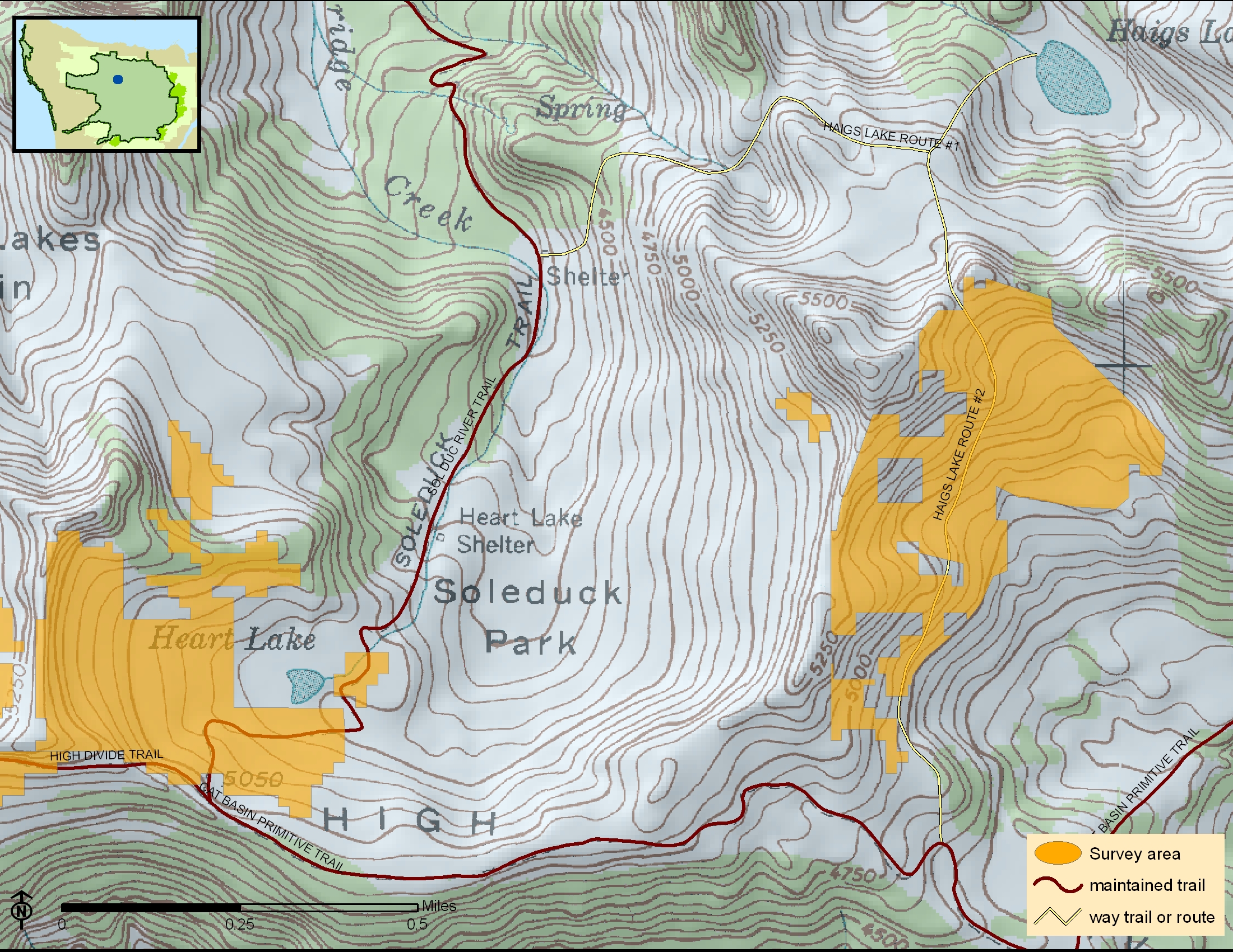 MarmotMonitroing_WebMaps_HeartSwimmingBear_2