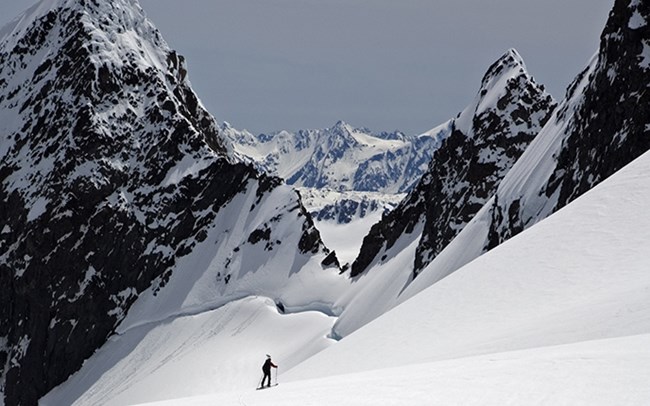 A researcher skies across a glacier.