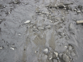 fine grained sand covers rocks on a beach