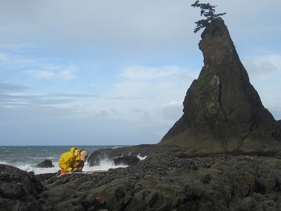 A coastal research dressed in yellow jacket and pants, kneels over a notepad surrounded by barnacles and orange starfish. In the background, a large spire of stone rises from the waves.