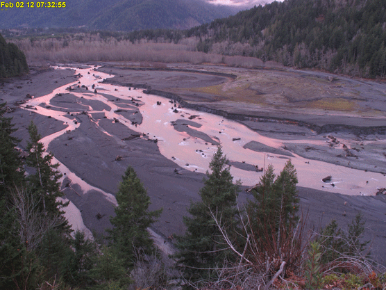 pink sunrise reflected in river