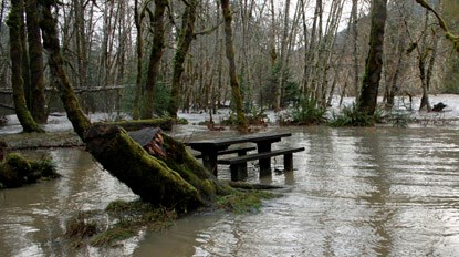 A flood in Altair campground