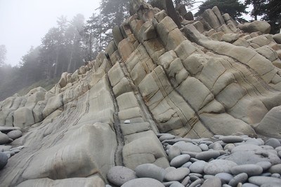 Varying layers of smooth flat rock are fused together by dark bands of gray sediment, appearing like a multilayered cake of stone turned on its side
