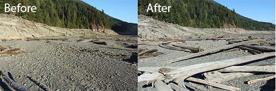 Before and after wood redistribution