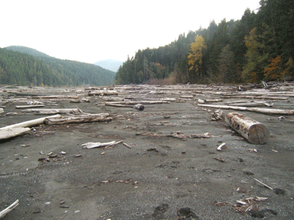 sandy, gravelly flat area