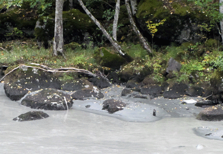 glines-downstream-beach-after-shot-17