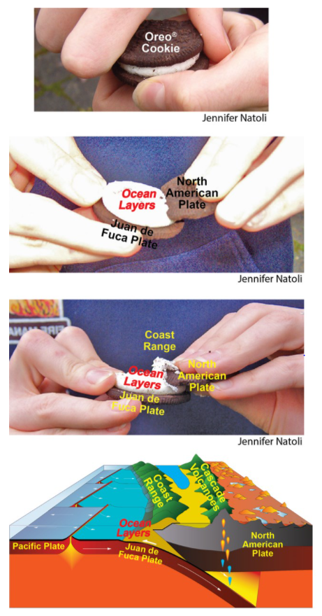 A series of images showing Jennifer Natoli's analogy of pushing up Oreo® filling off the bottom cookie by using the top cookie in order to demonstrate subduction.