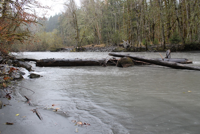 Elwha River November