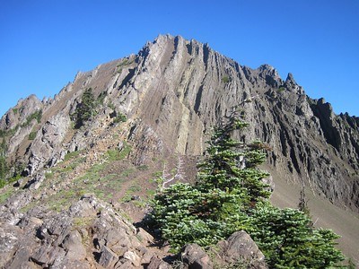This image shows compressed layers of rock standing vertical to form a slight peak with spruce trees in the foreground