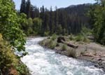 Elwha River at Krause Bottom