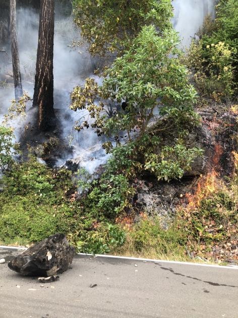 A large rock laying on a paved road after being displaced by a wildland fire burning in the nearby trees and brush.