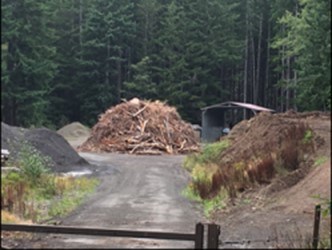 A woody debris pile in a gravel lot.