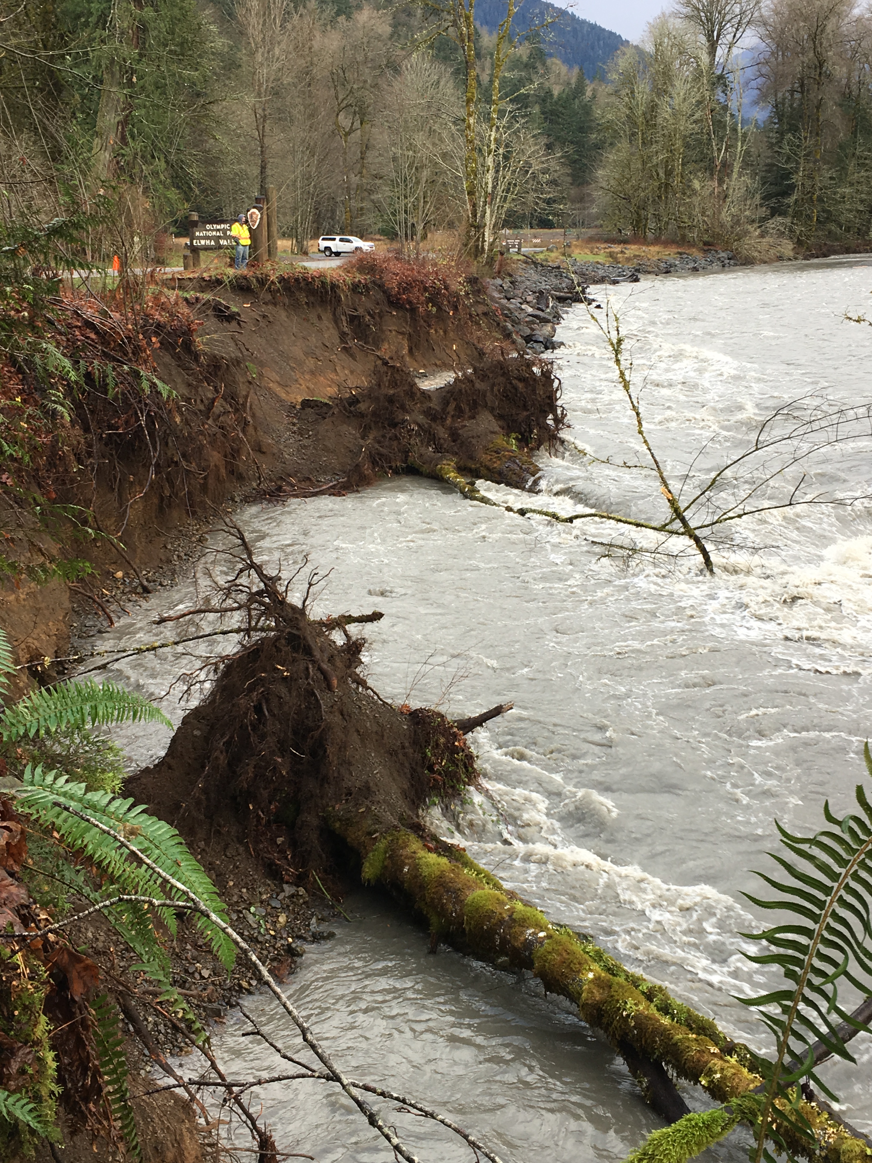 River Bank Flood Damage