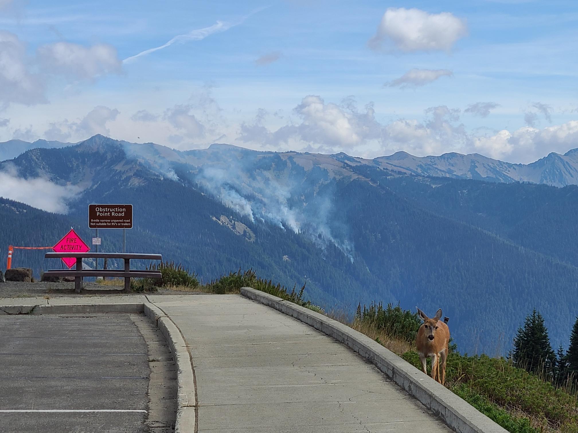 Eagle Point Fire from HR 9-4 Several smoke plumes seen building above 105 acre wildfire