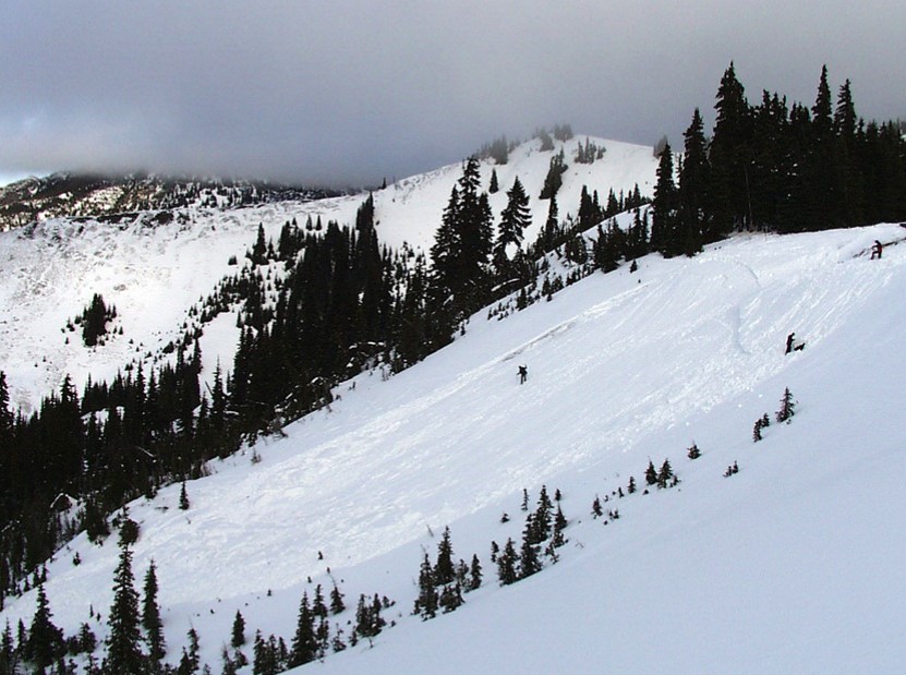 Winter recreation at Hurricane Ridge Skiers on a snowy slope