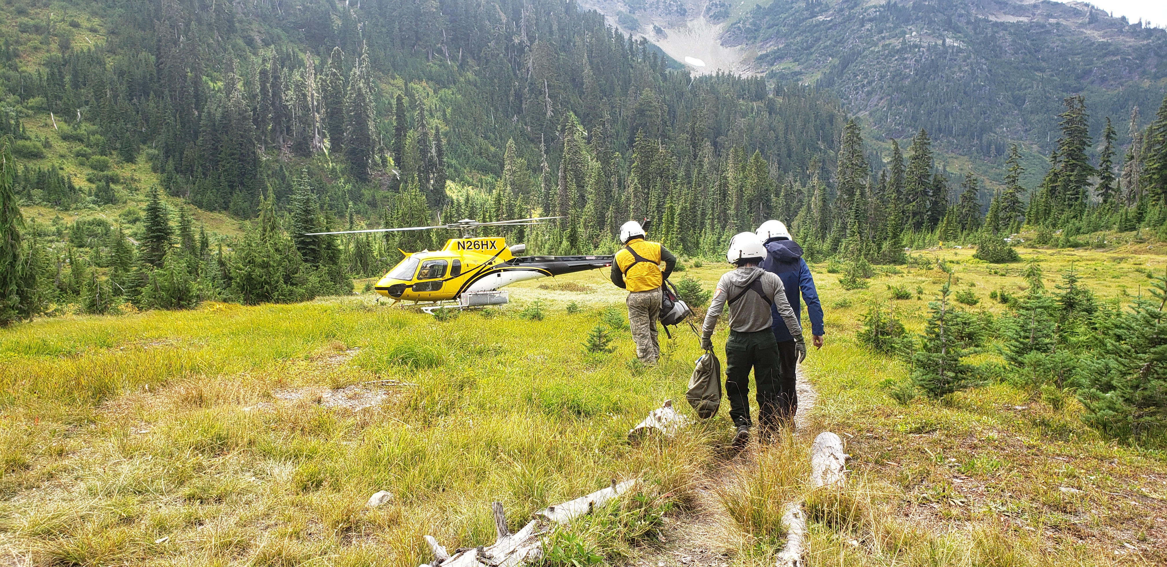 Helicopter crew walking across an open meadow towards a helicopter surrounded by forest.