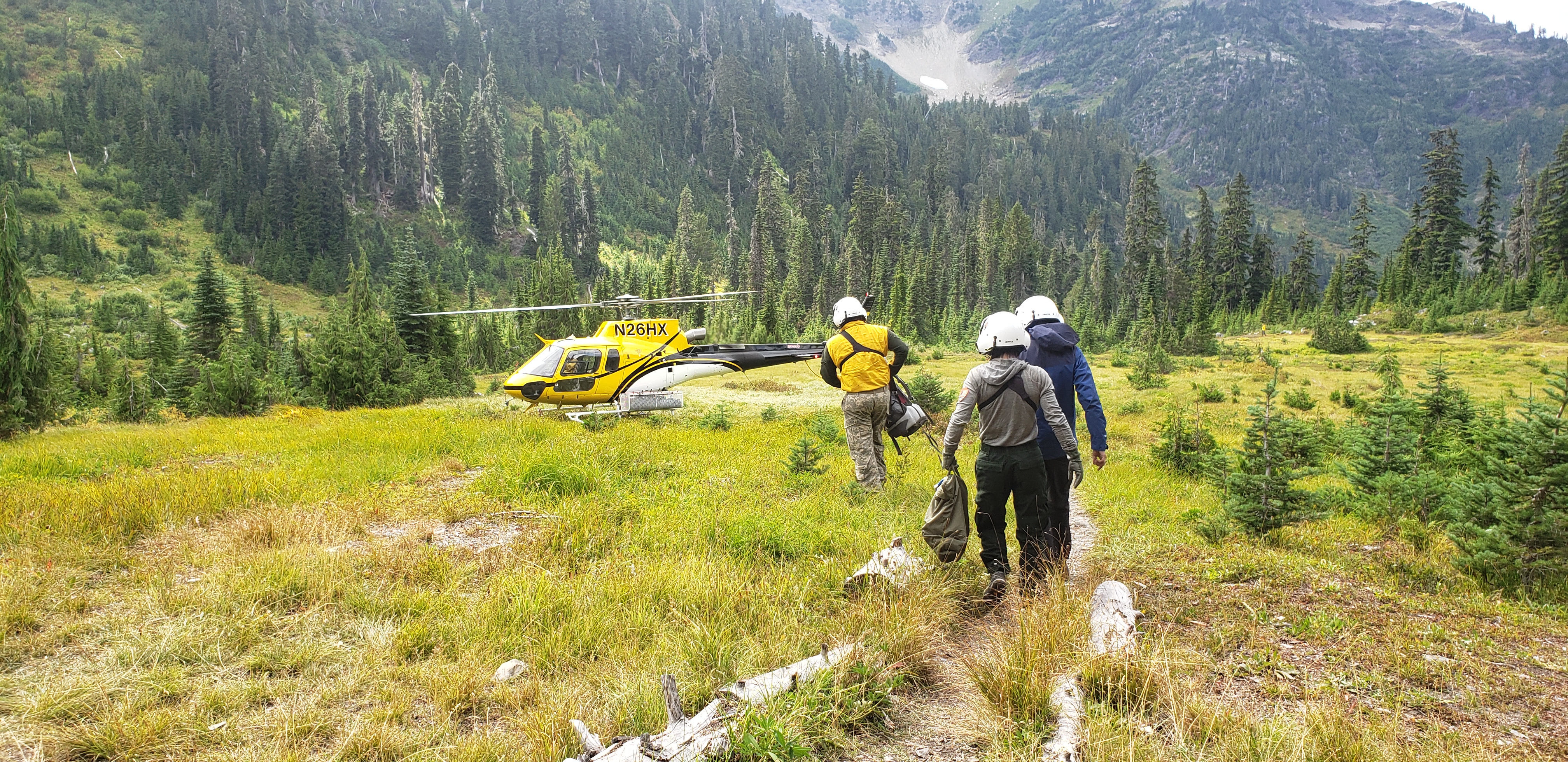 Helicopter crew returning to helicopter to evacuate an injured backpacker from the park wilderness. Helicopter crew walking across an open meadow towards a helicopter surrounded by forest.