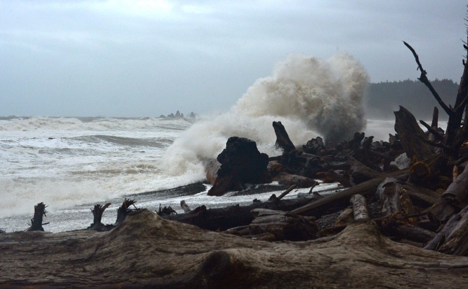 A large wave breaks against rocks on the Olympic Coast on a cloudy day.