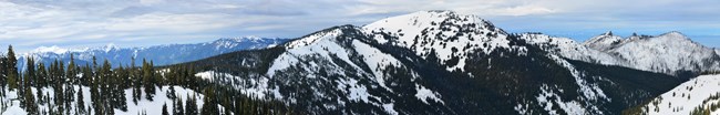 A panoramic view of snowy mountaintops with patches of evergreen trees